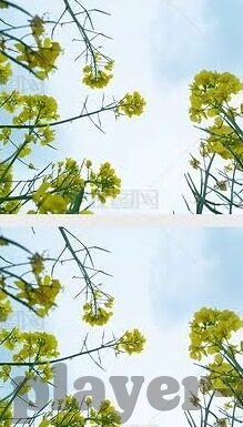 AG百家乐官网的网站是多少-AG百家乐官网的网址查询指南