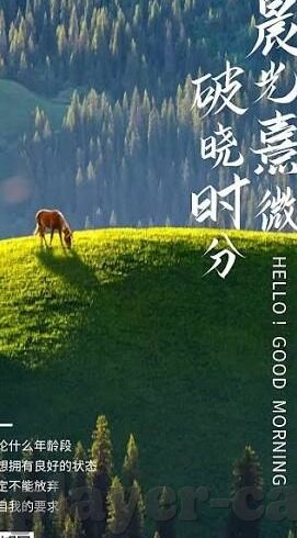 博雅德州扑克作弊软件-博雅德州扑克作弊软件，游戏公平性的挑战与反思