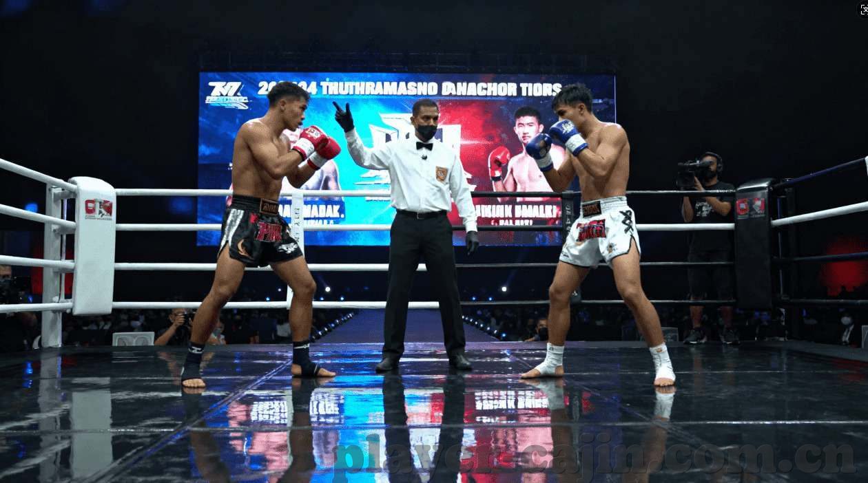 乐鱼平台登录入口-乐鱼平台登录安全指南，解锁高效便捷的登录流程
