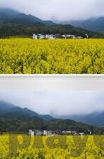 球探比分网足球-揭秘球探比分网，足球迷的宝藏数据乐园
